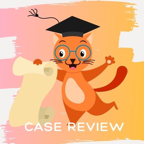 Solheals squirrel reviewing a case study for crippling depression