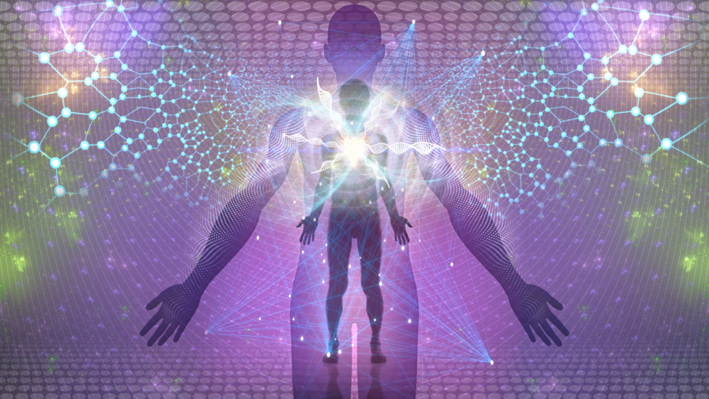 Workshops Bioenergetics