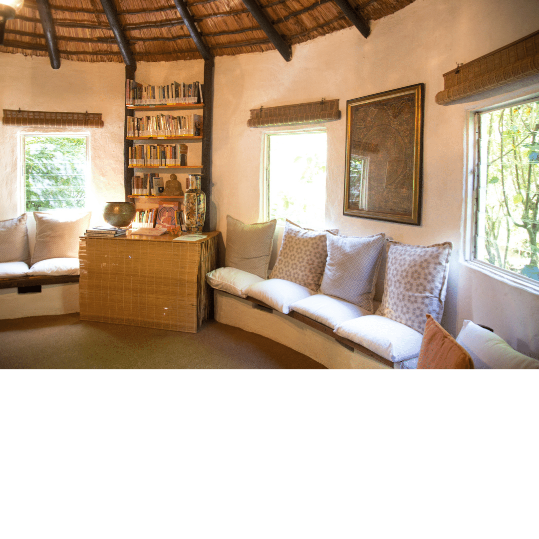 Somatic Meditation for Nervous System Regulation Sol Heals Retreat Online Image